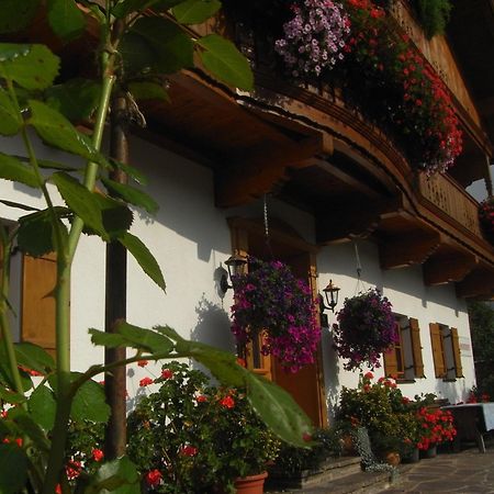 Hofbauer Villa Itter Exterior photo