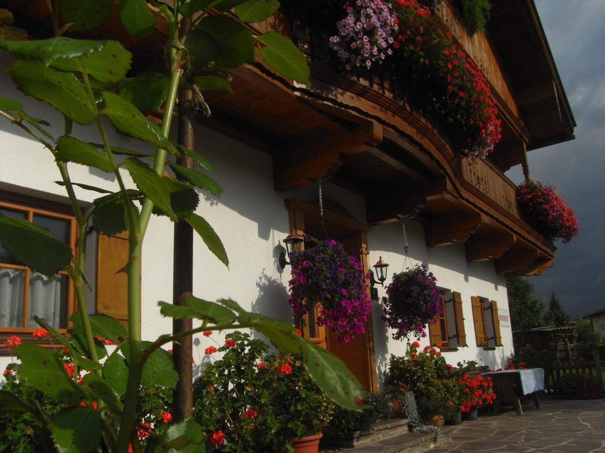 Hofbauer Villa Itter Exterior photo